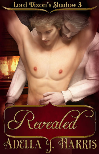 cover of Revealed Lord Dixon's Shadows book 3 by Adella J Harris